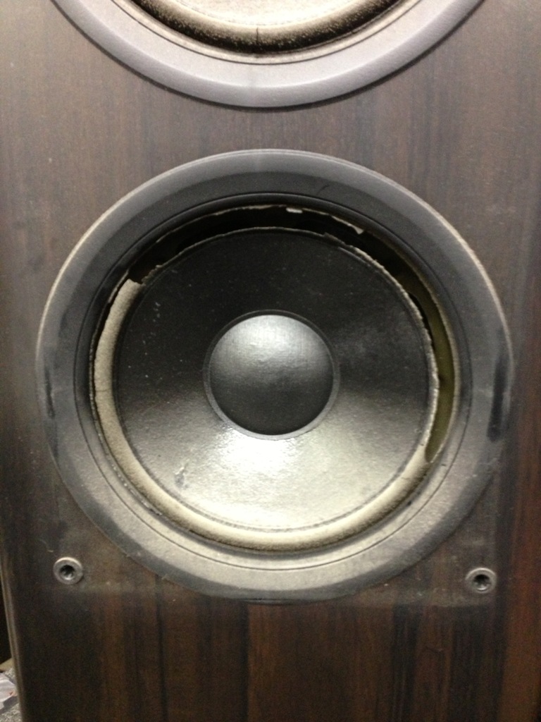speaker repair 25