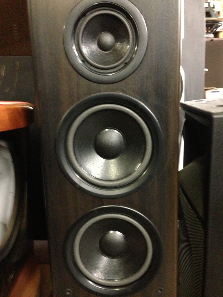 speaker repair 25